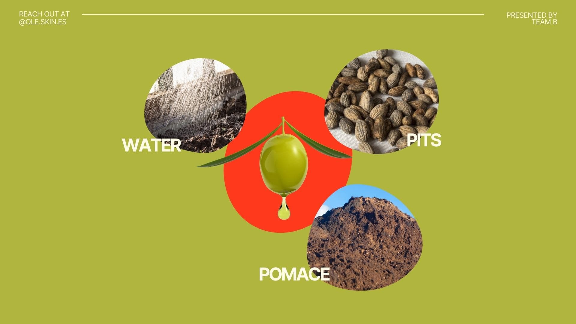 Venture born from sustainable innovation and systems thinking